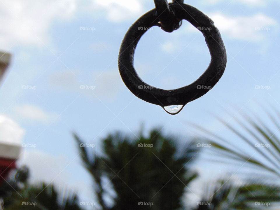 Water drop after the Heavy Rain .
