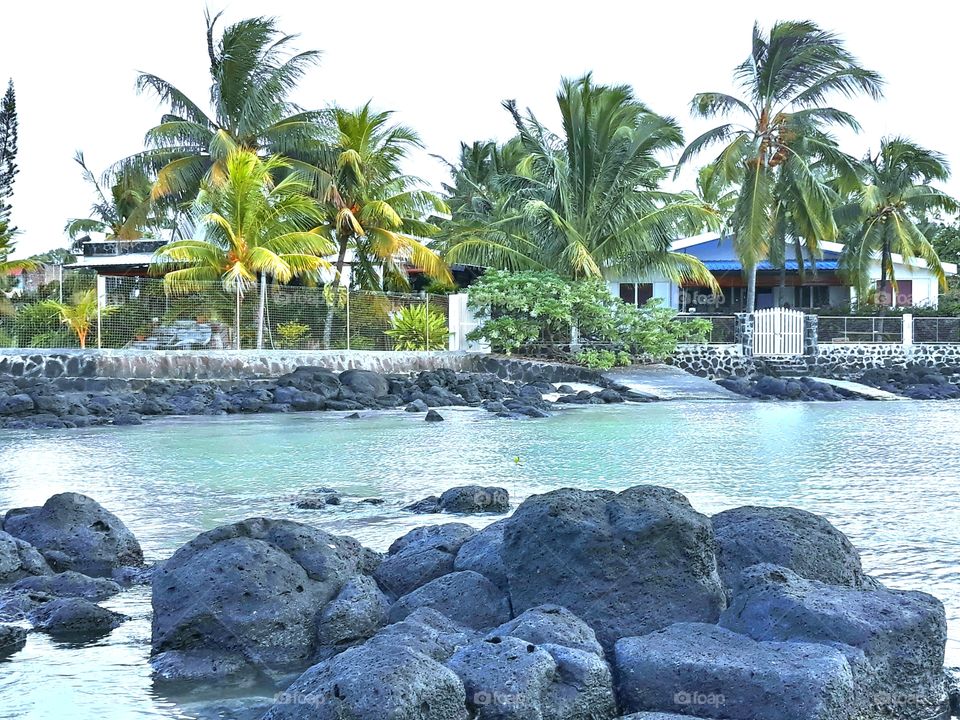 Resort very close to the Sea, Coconut trees and plants in the Yard. Sea Water and black rocks.