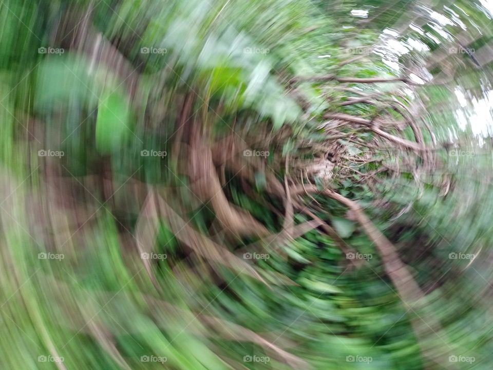 blur round Pettern different view of the nature