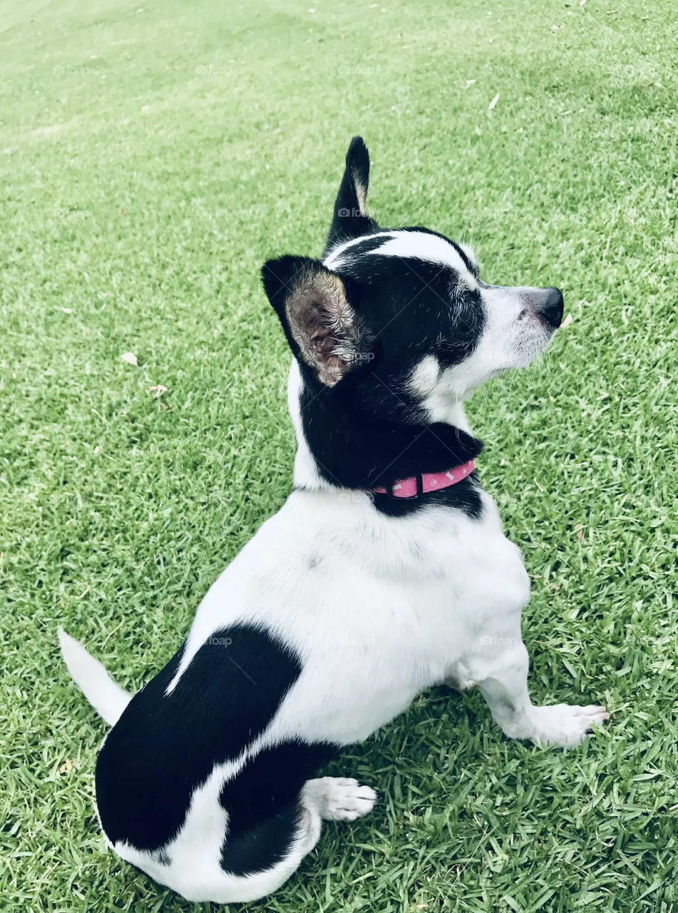 ♥️