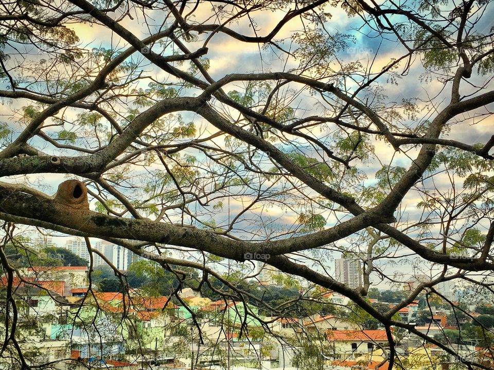 O amanhecer bucólico da cidade de Jundiaí. Aqui no Brasil a beleza resolver fazer sua morada. 