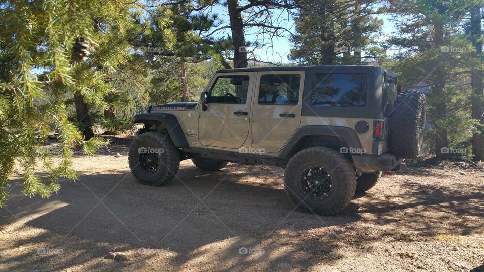 Jeep Rubicon Recon Limited Addition