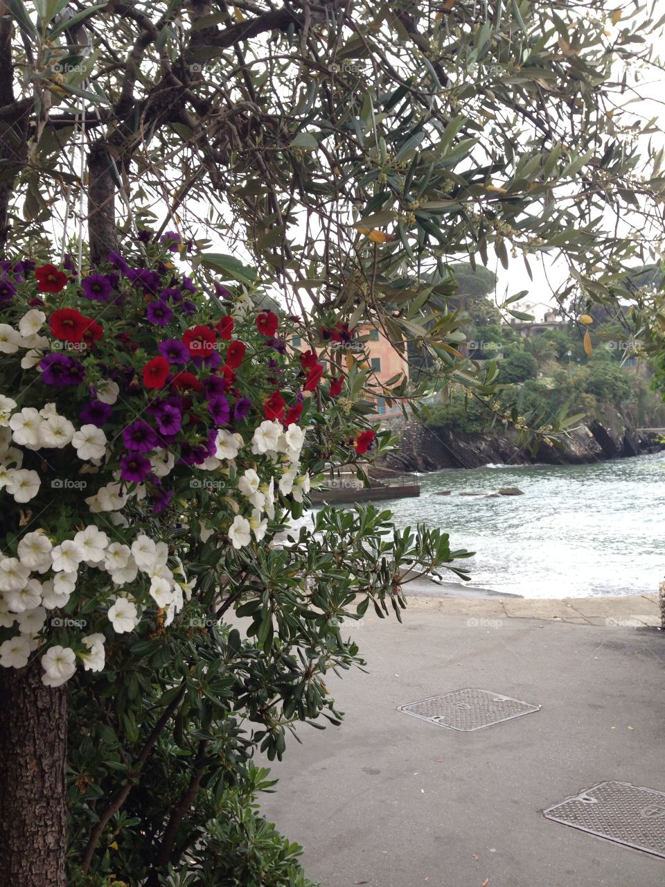 Nervi Genova Liguria