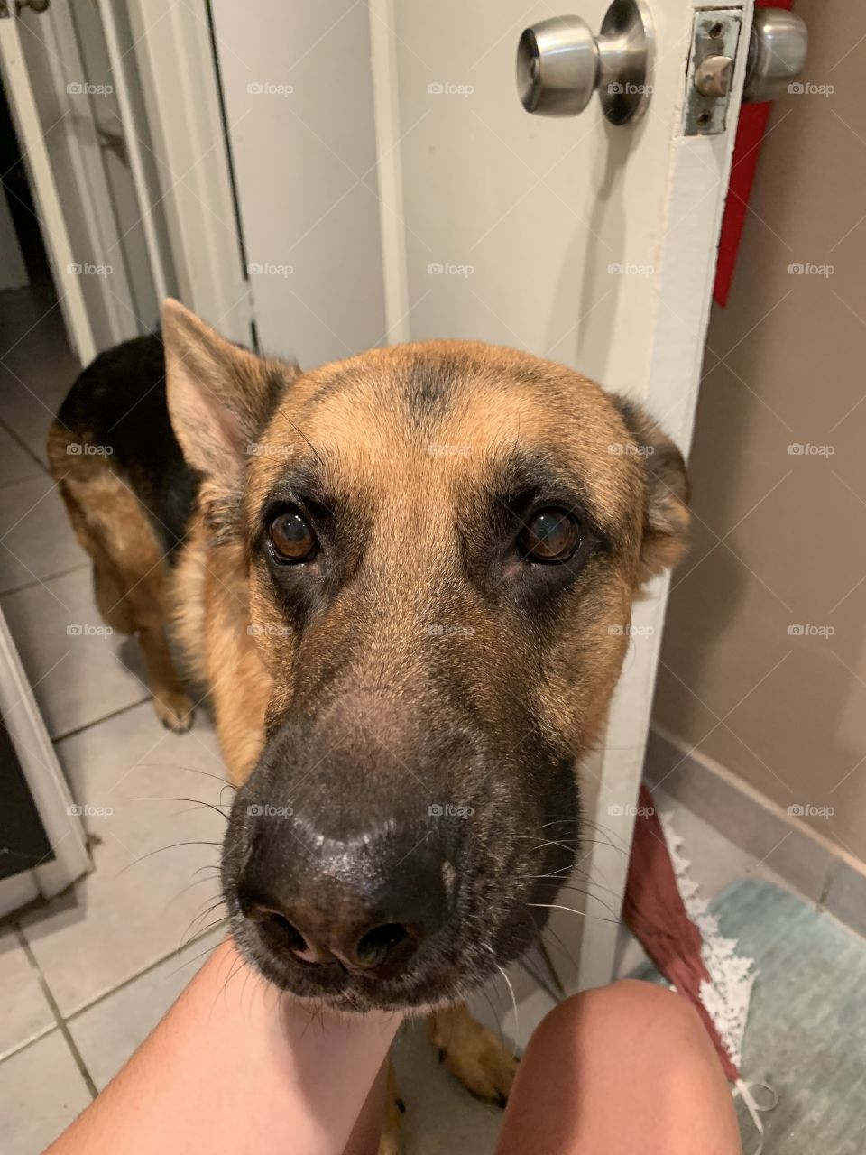 Can we please go play?