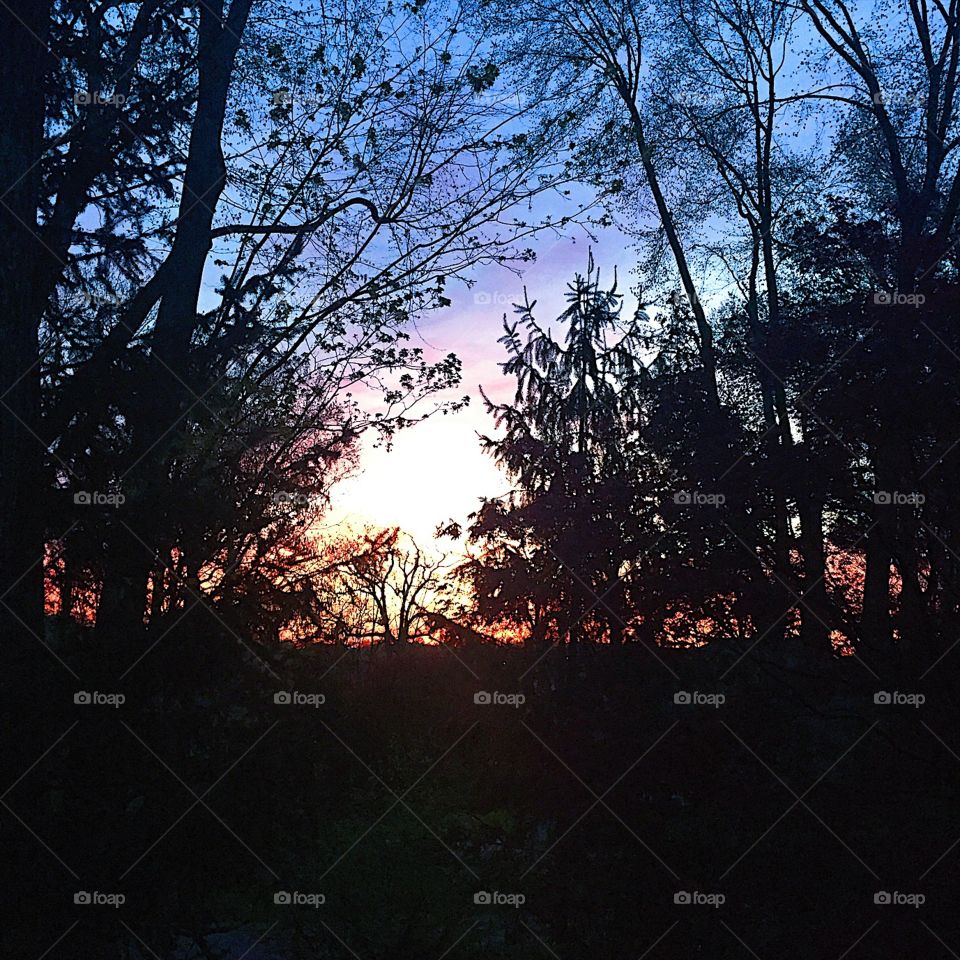 Pretty gorgeous sunset run. 