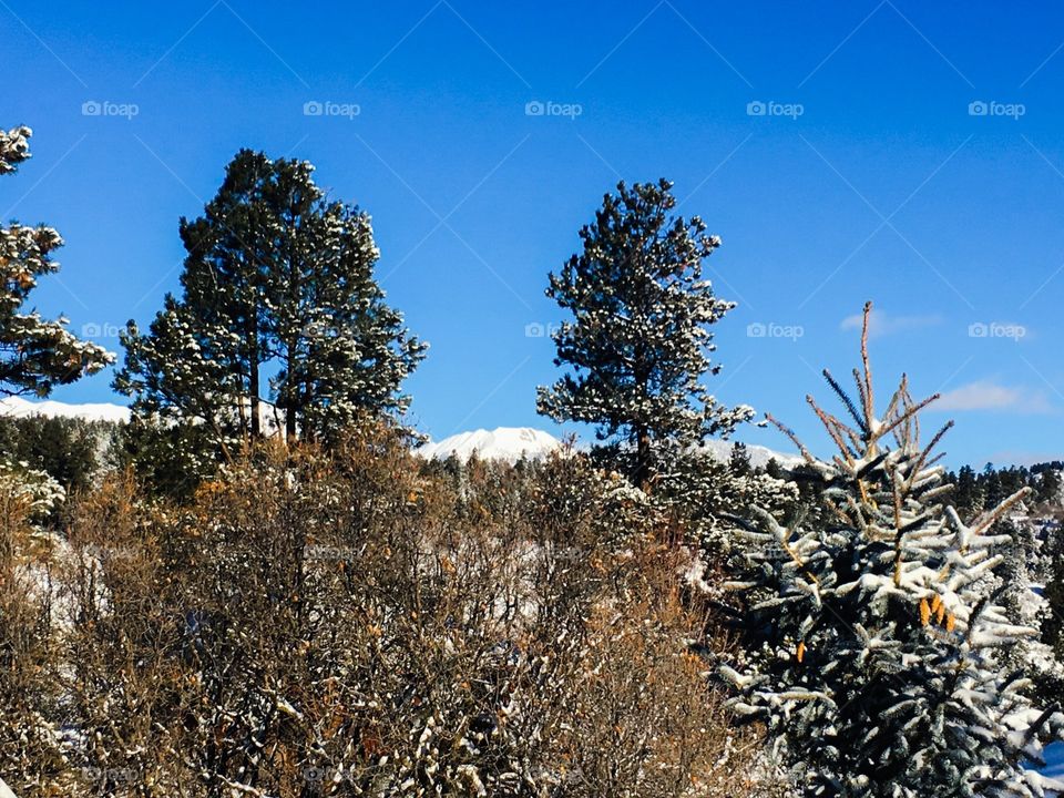 Snowy peak