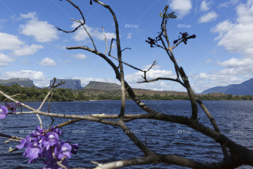 Canaima National park in Venezuela.