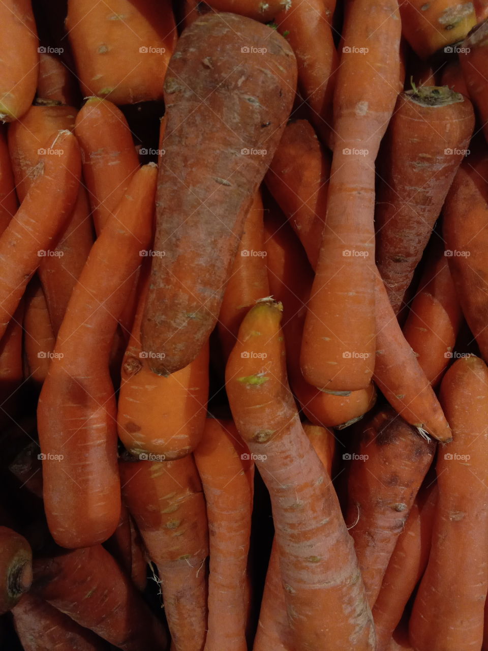 carrot in market, wortel di pasar