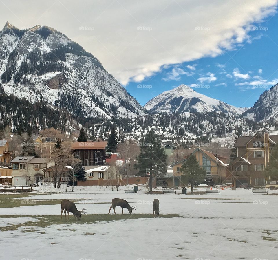 Ouray Colorado 