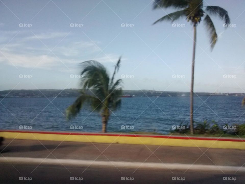 walk on the beach, palms, sea and sky