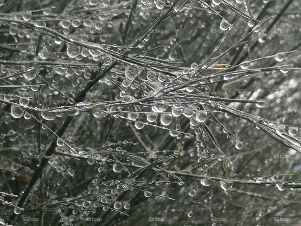 First signs of autumn