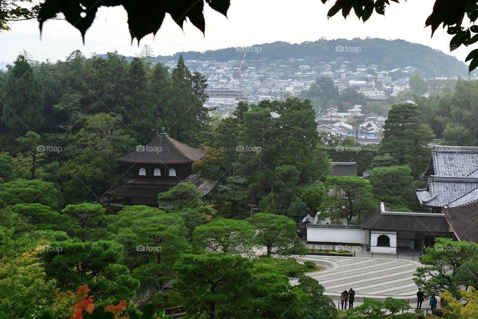 Scenic view of the garden