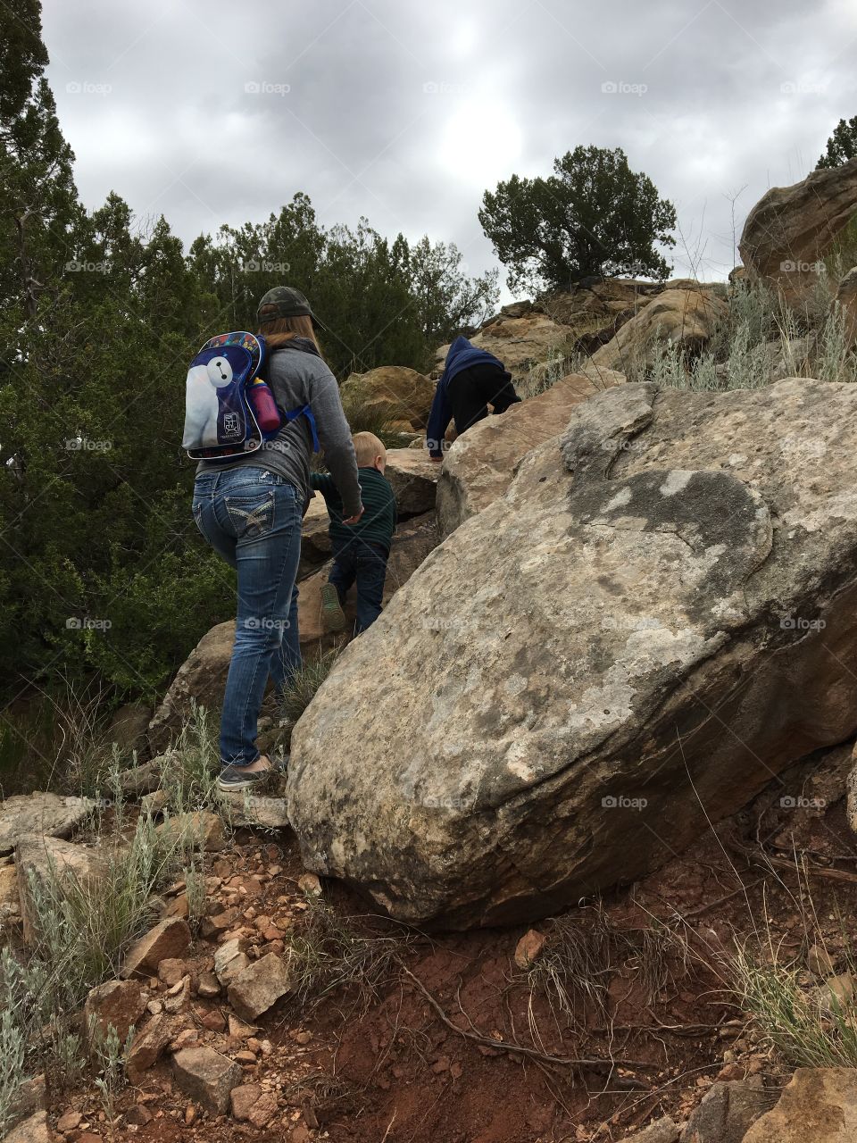 Family hikes 