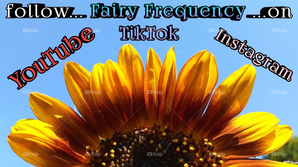 Follow Fairy Frequency on YouTube TikTok and Instagram