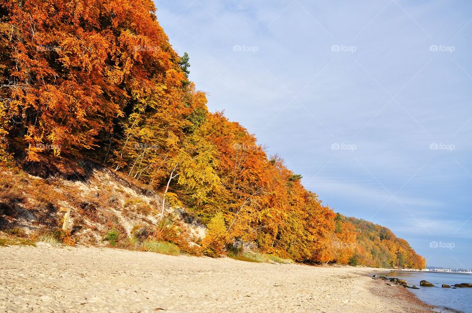 Autumn beach on the Baltic sea