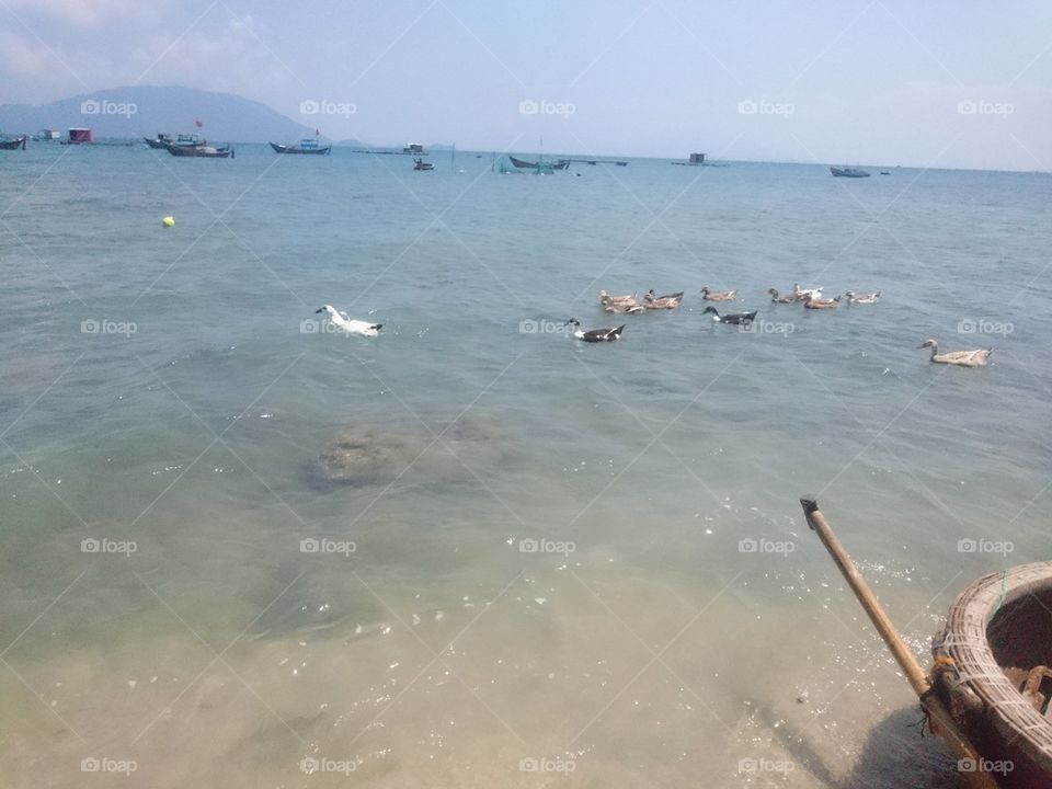 beach in Vietnam