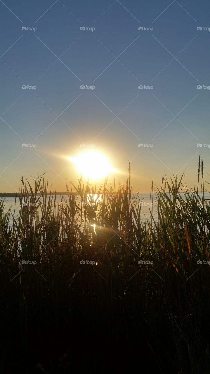 Sun, Sunset, Dawn, Grass, Nature