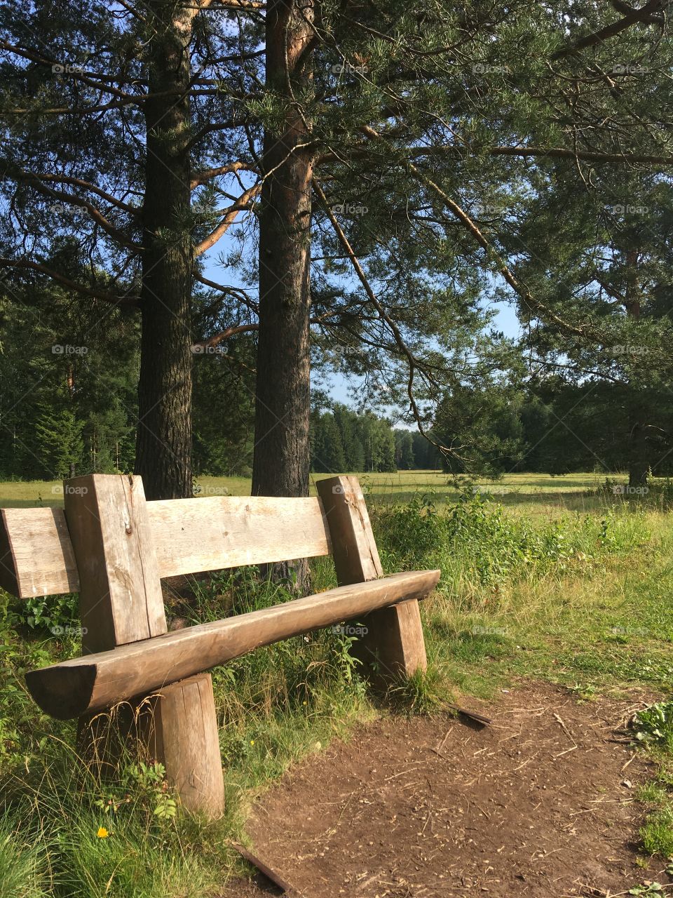 take a rest after a long drive