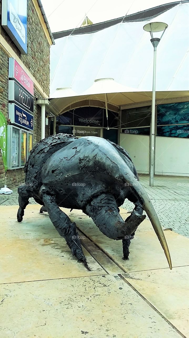 Beetle-effect Statute