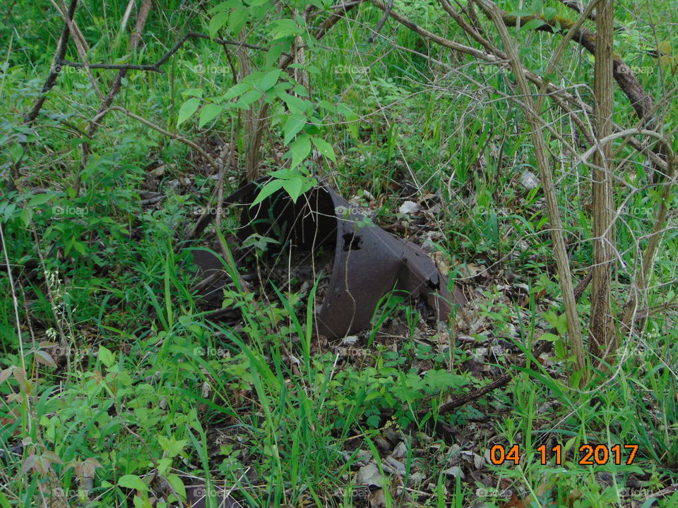 rusty bucket disappears in nature