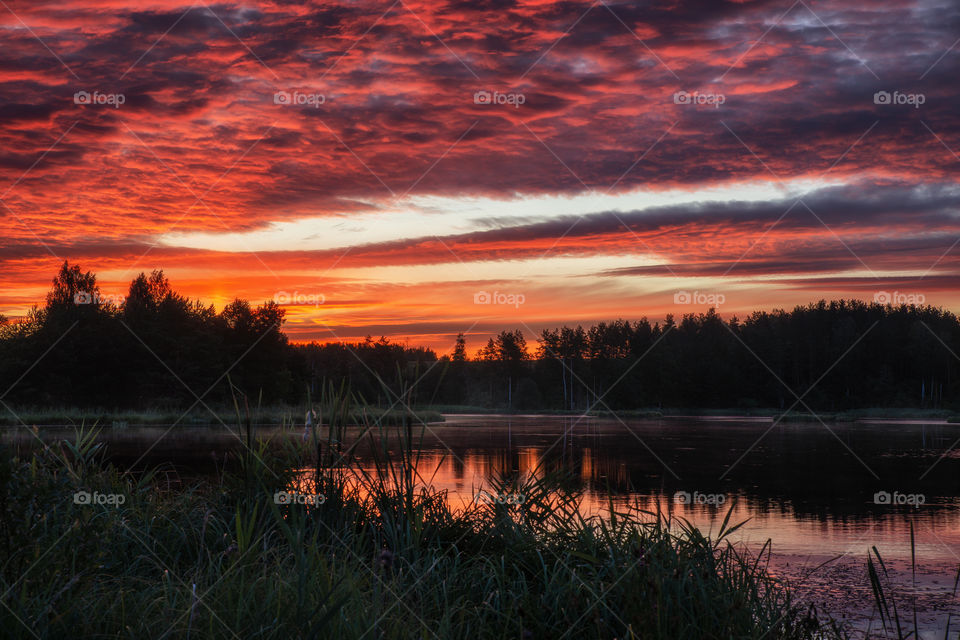 Summer. Sunrise. Lake.