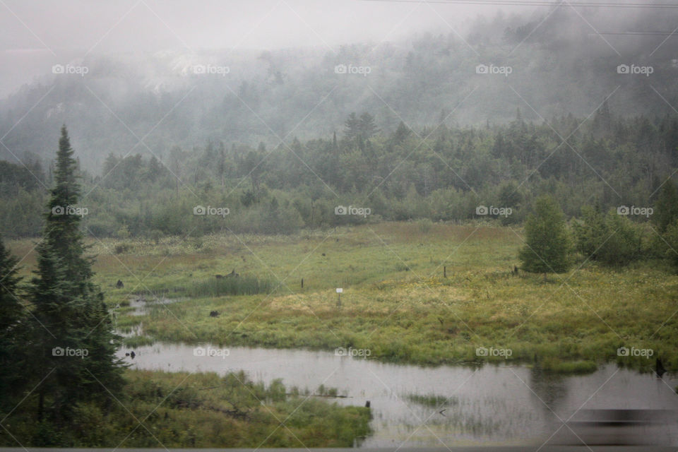 Rarul landscape on a rainy day