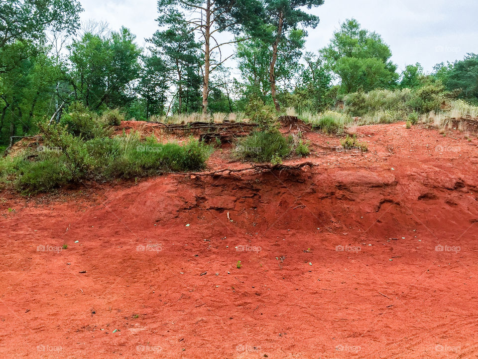 Nature reserve called Colorado Provencal in France with plants and orange colored sand dunes a rainy day in summer.