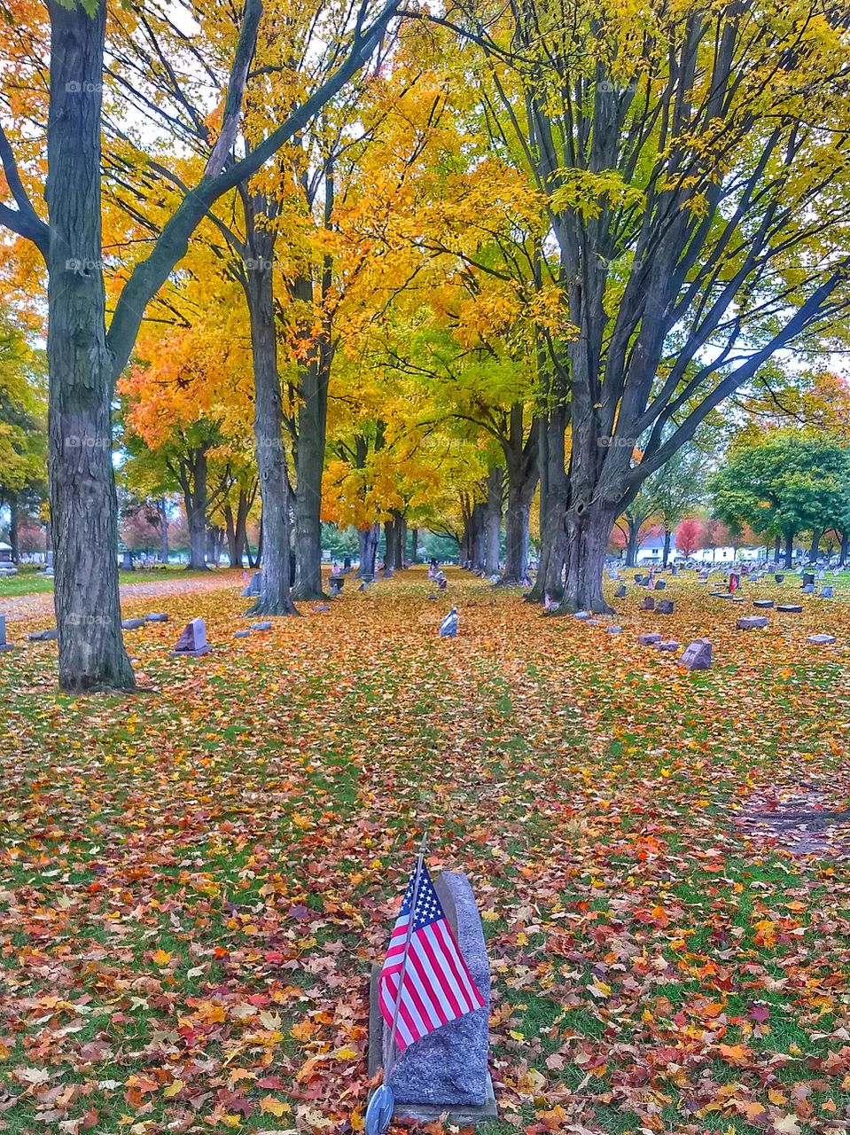 Autumn cemetery with American flag
