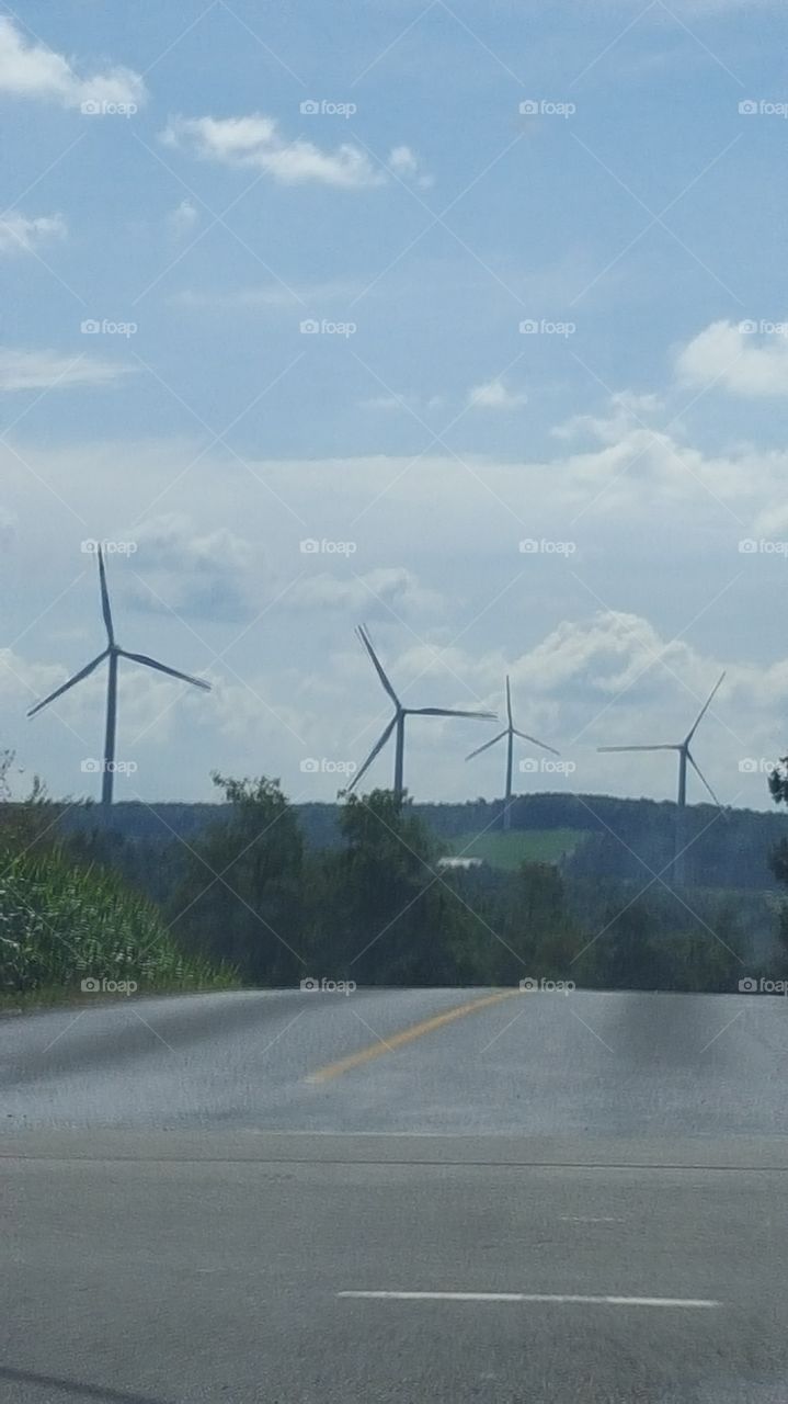 windmills