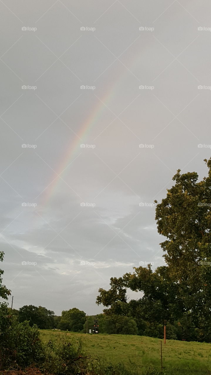 I never cease to be In awe of the rainbow!