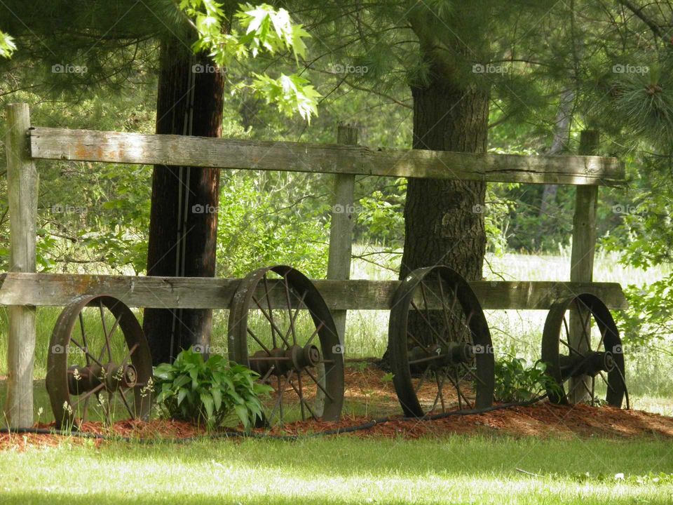 Looking through the fences