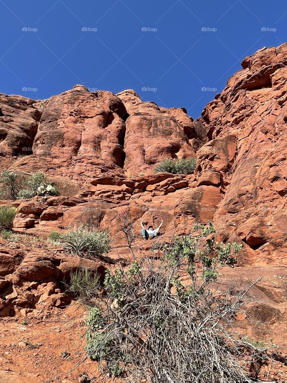 Balance natural beauty 