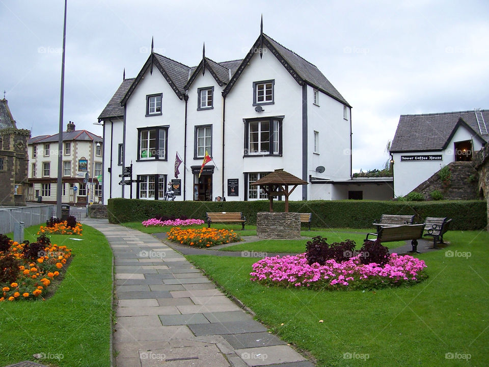 flowers house well wales by sicksaint77