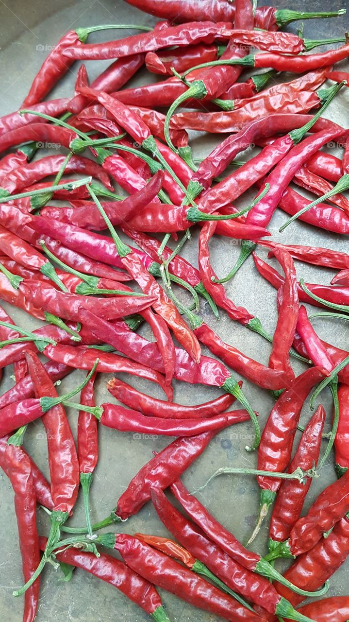 chili pepper , red
