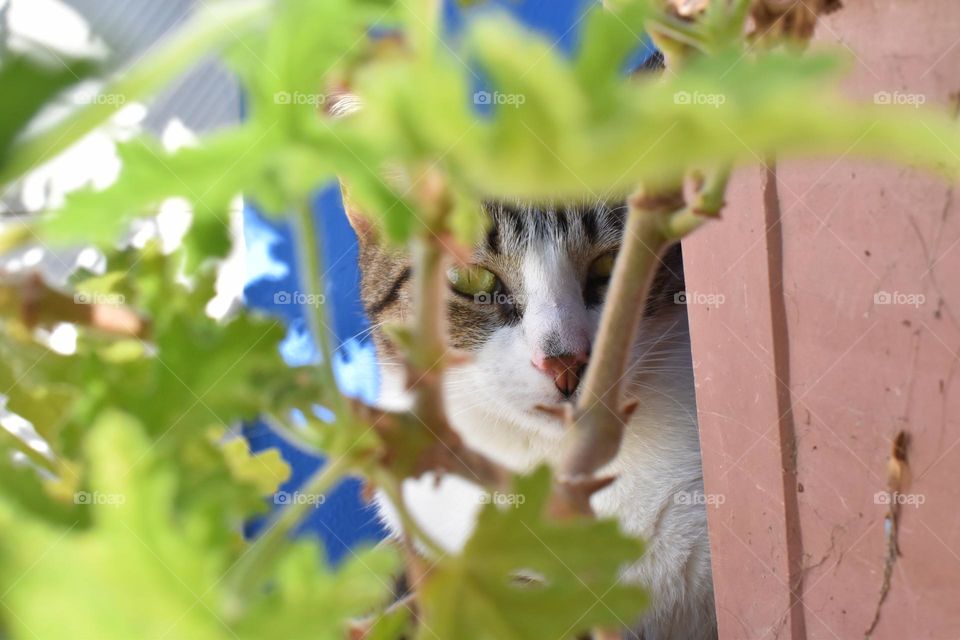 spring look // Nikon D3500