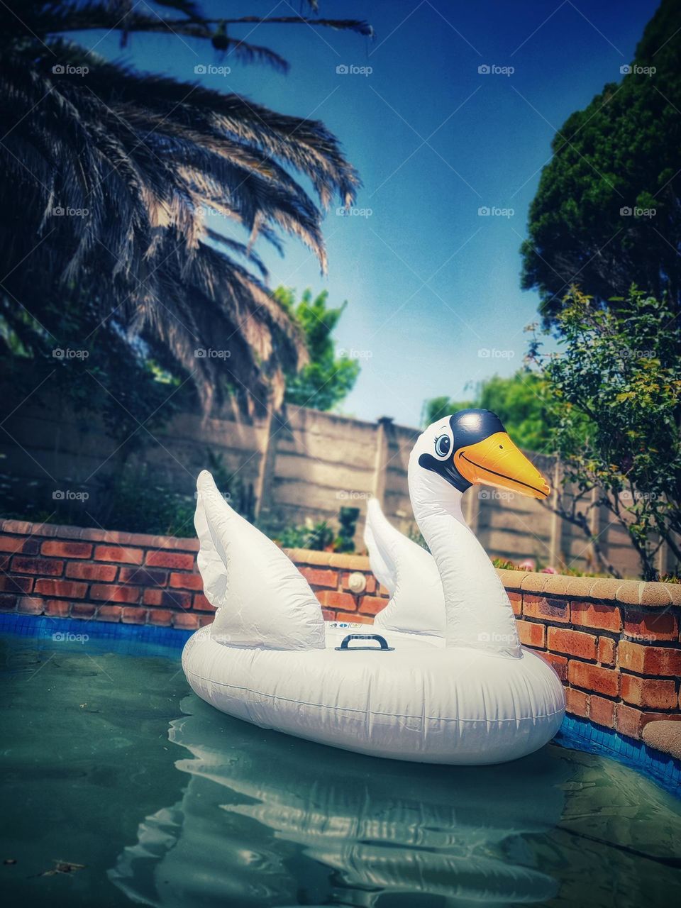 Inflatable Pool Float, Swan