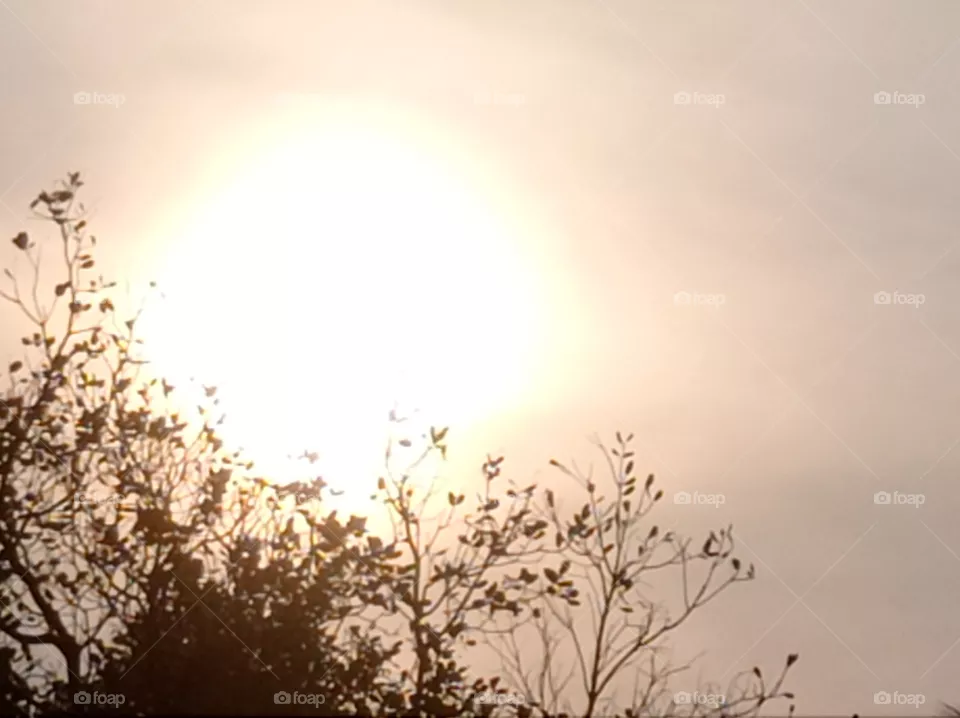sun