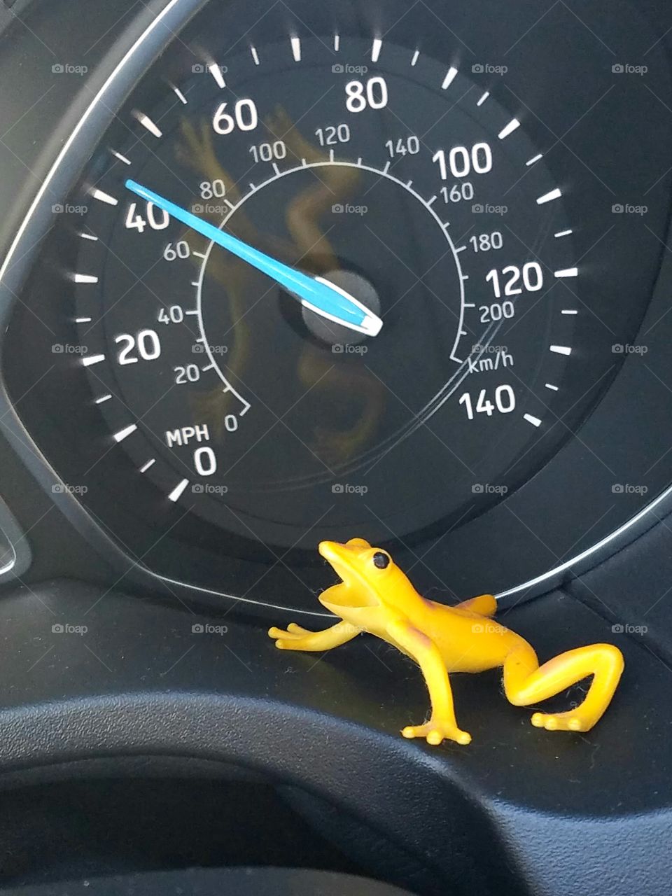 Speeding frog