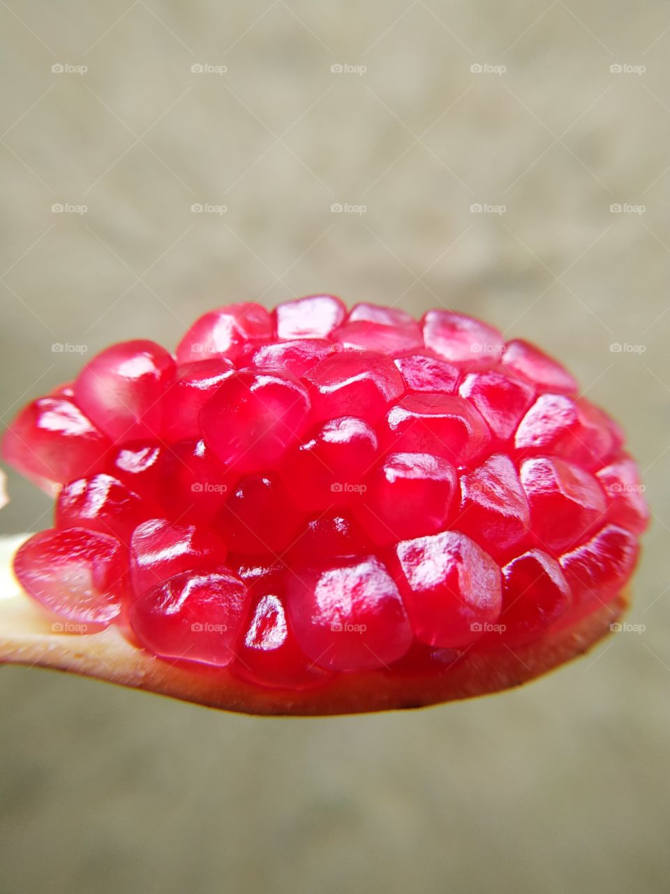 Pomegranate isolated on gray background with clipping path
