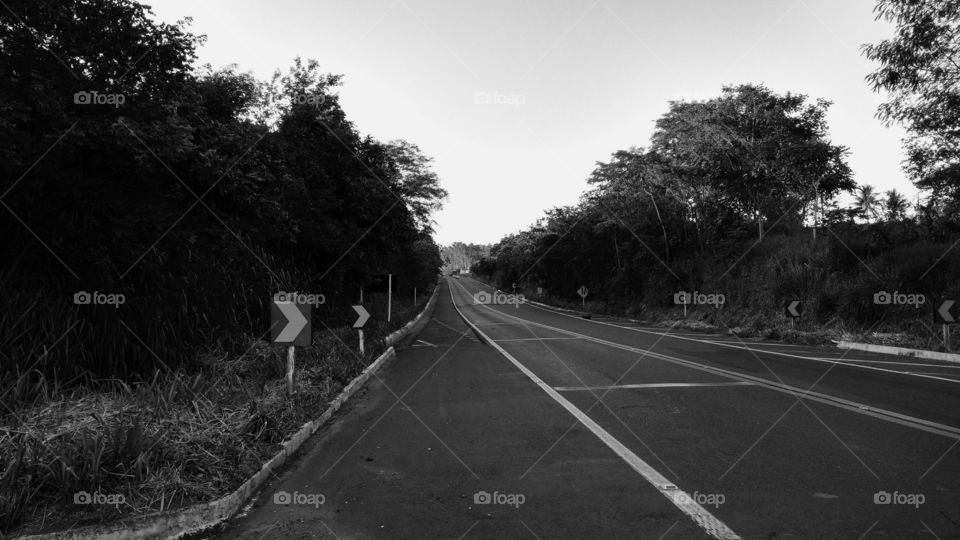 viagens - rodovia