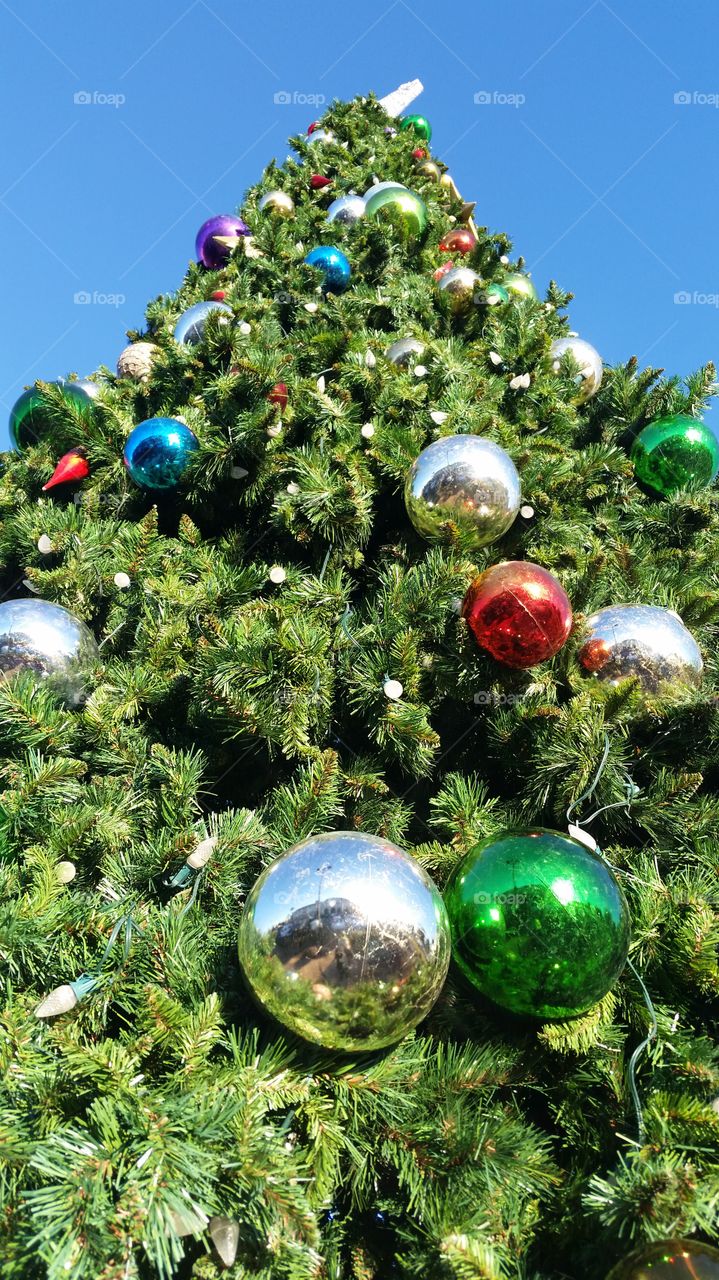 Low angle view of christmas tree