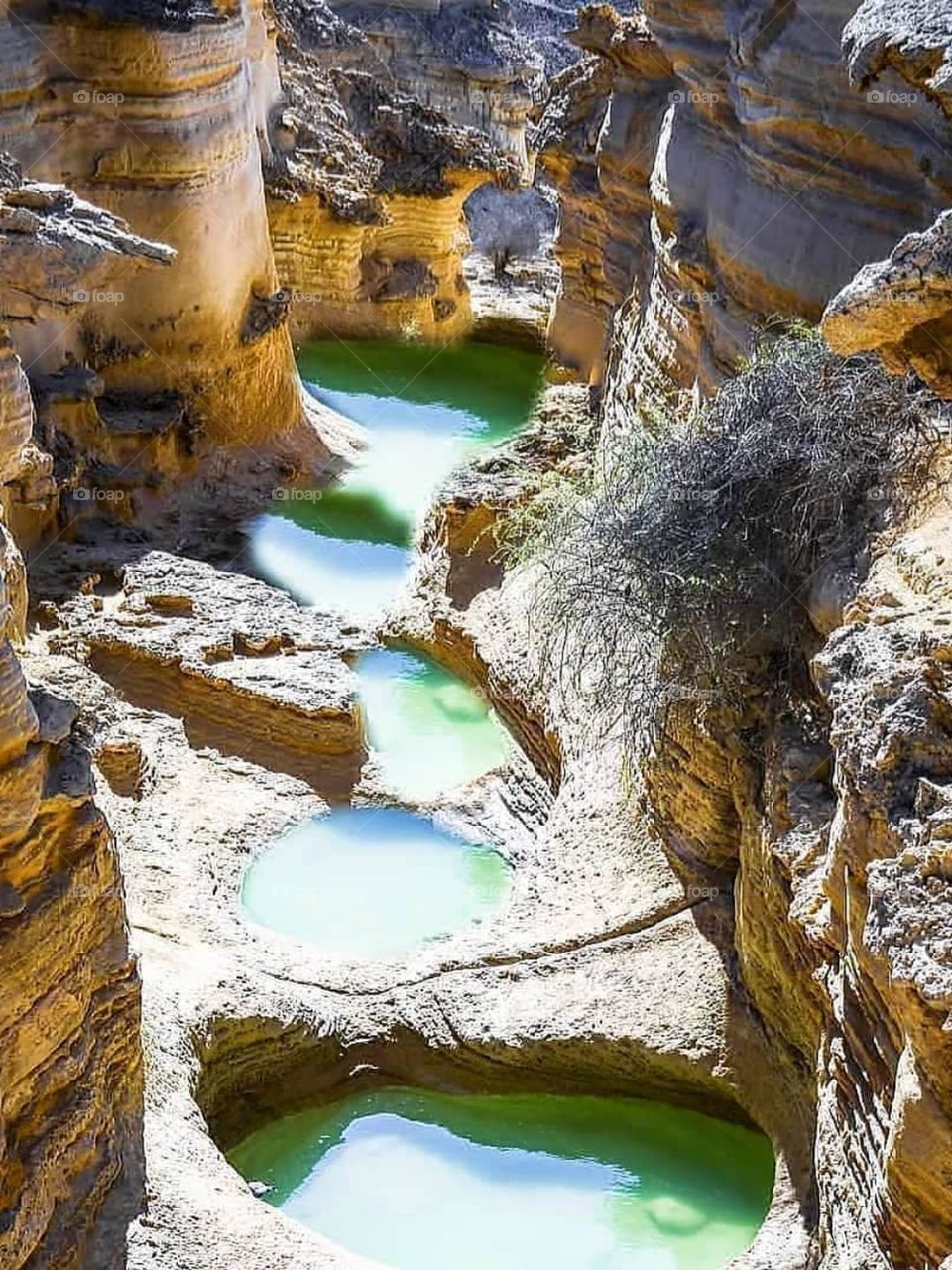 Karian Gorge is an untouched and pure region in the heart of the mountain, which has a unique beauty when it rains and after it rains. It has a special pleasant and cool air. Beauty, peace and positivity prevail here