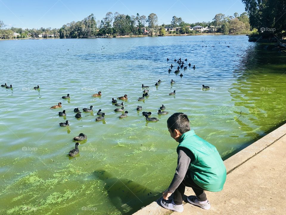 Nephew Enjoying the ducks