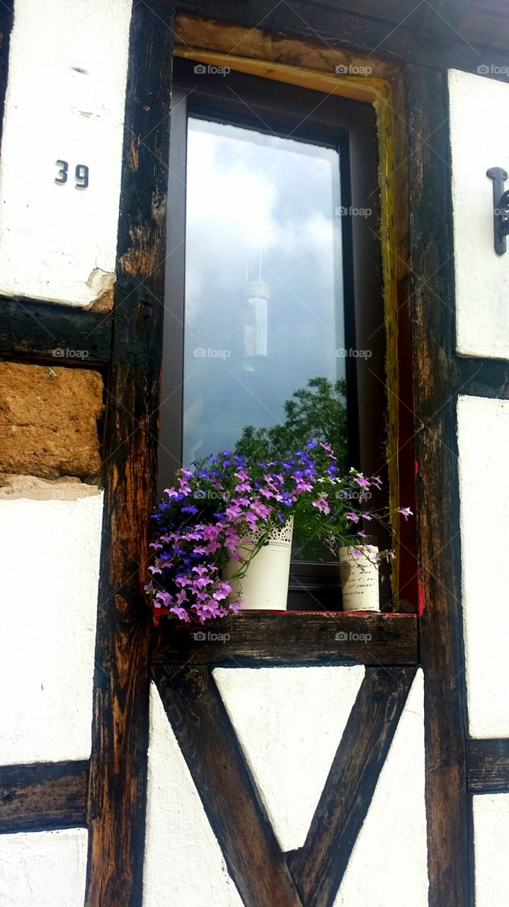 Pretty summer window