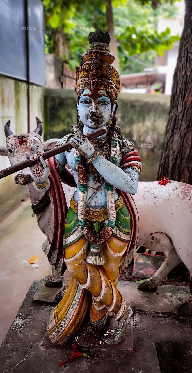 Lord Krishna, Universal God