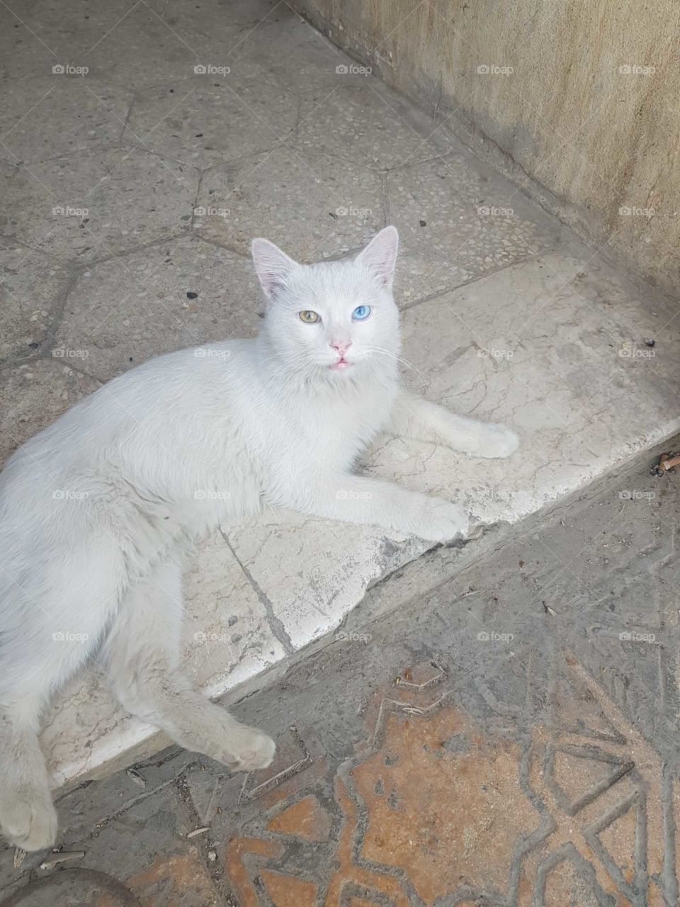 sa.com.saico@generalclaims