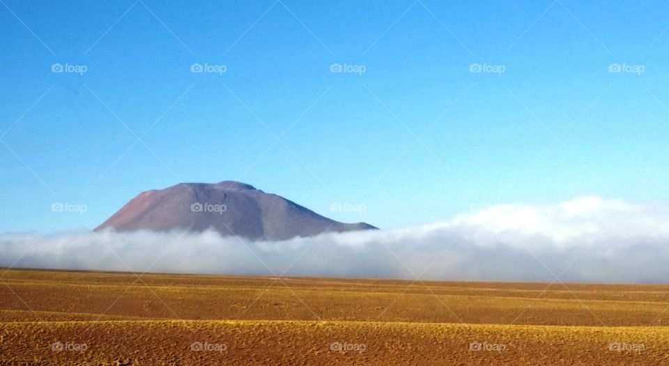 Atacama Desert  - Way Salt Tara