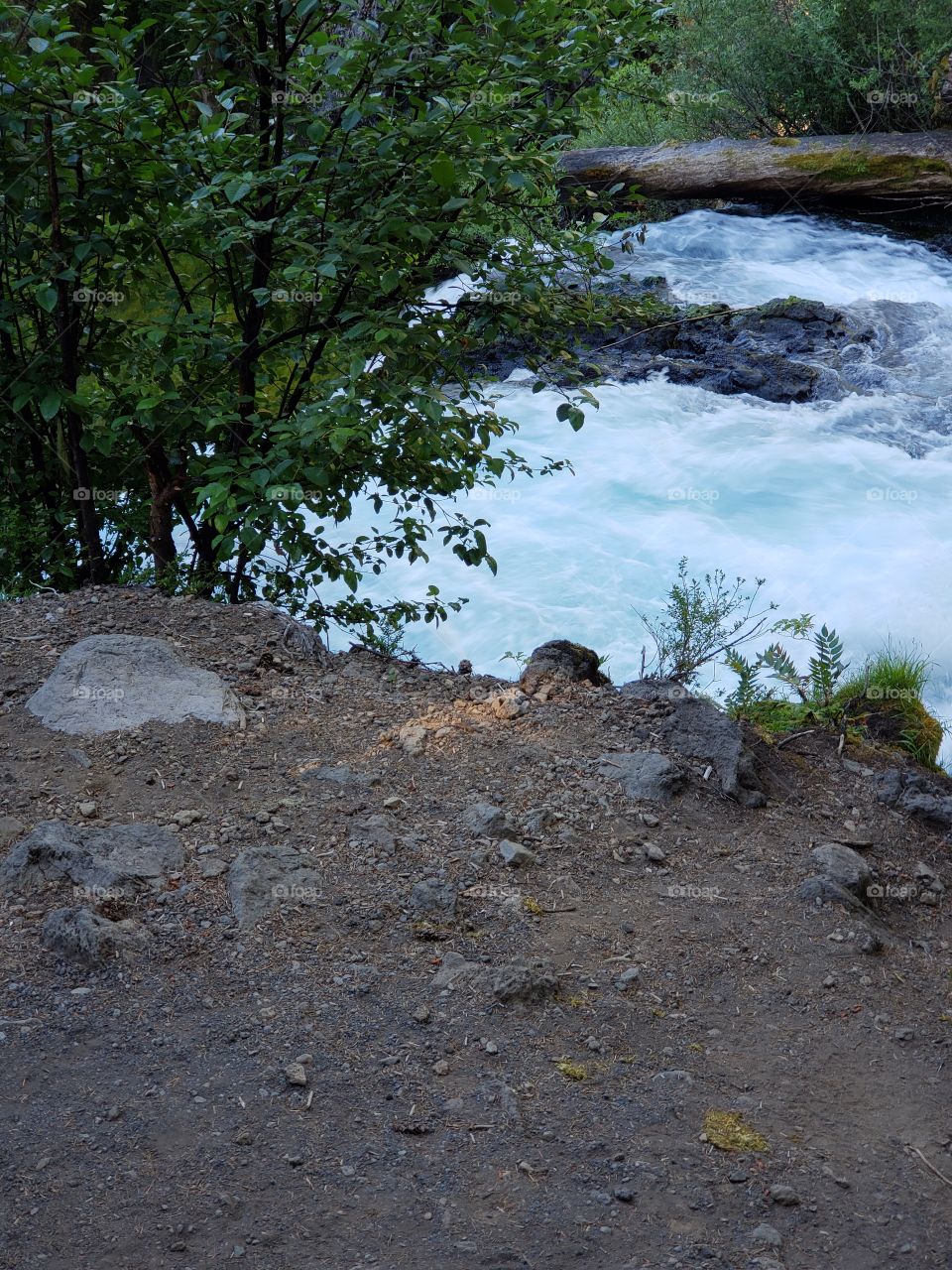 The sun rises on the rapids of the McKenzie River at Koosah Falls in Western Oregon on a summer morning.