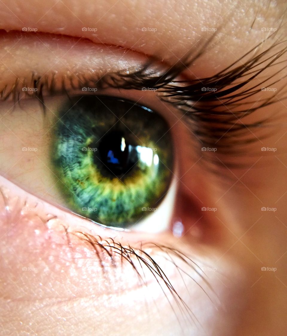 Extreme close-up of human eye