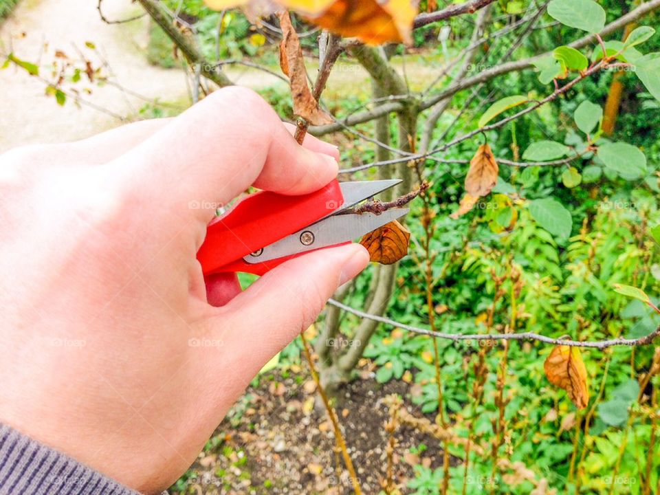 Gardening